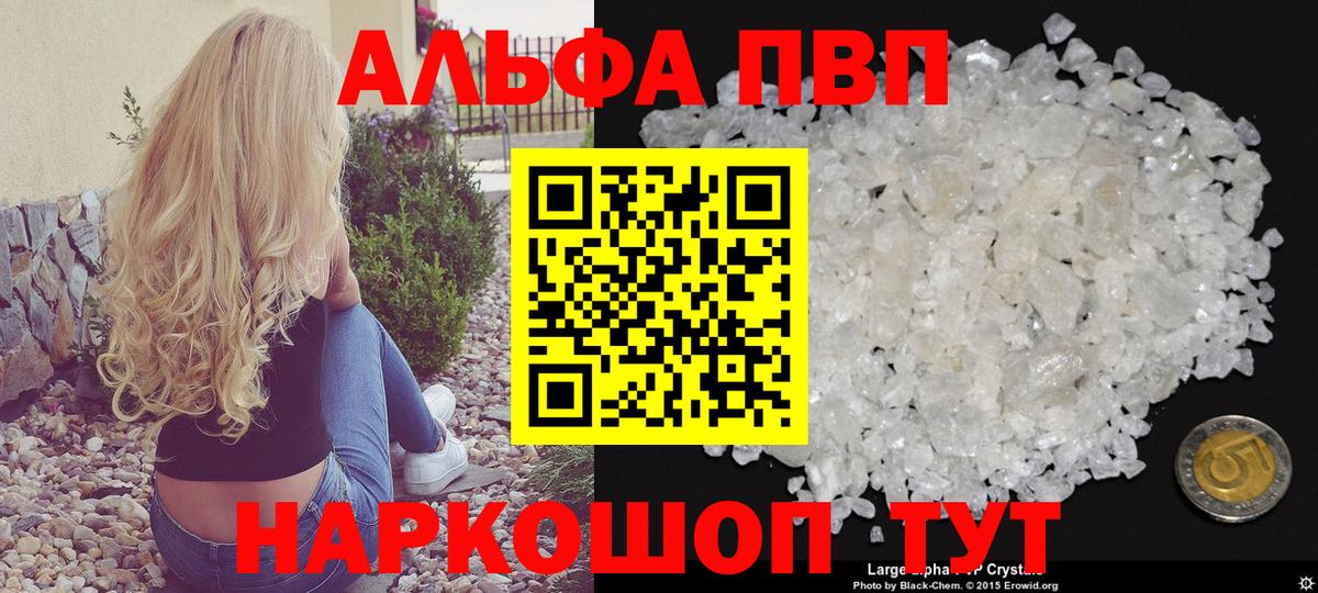 Пугачёв  как найти   Alpha PVP  Вход с VPN  Alfa_PVP Crystall 