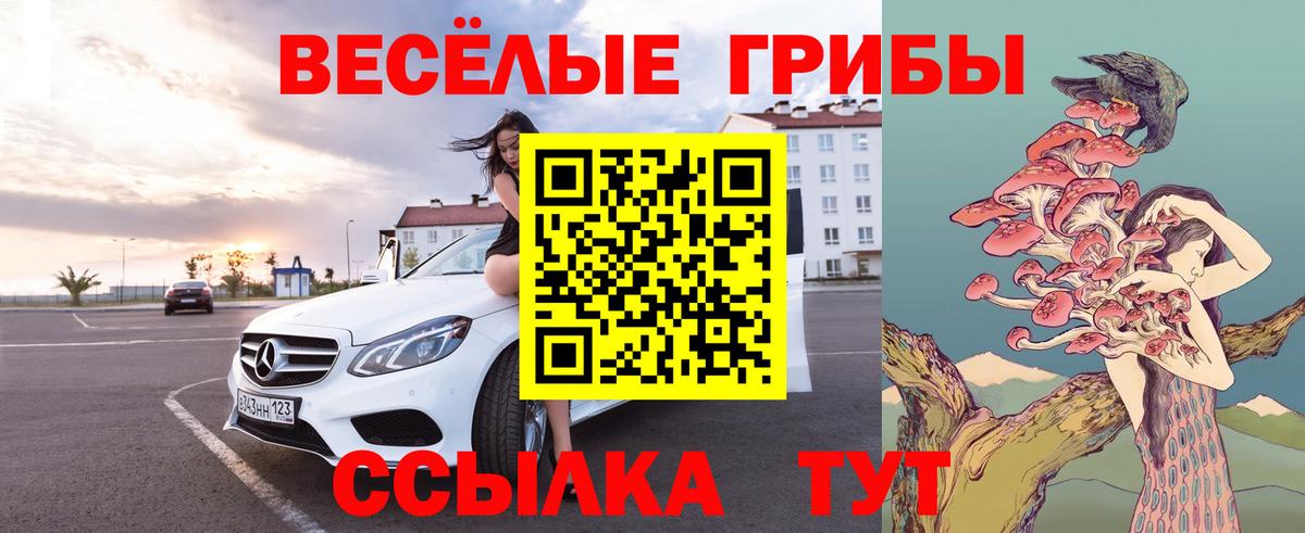 Псилоцибиновые грибы Cubensis Пугачёв